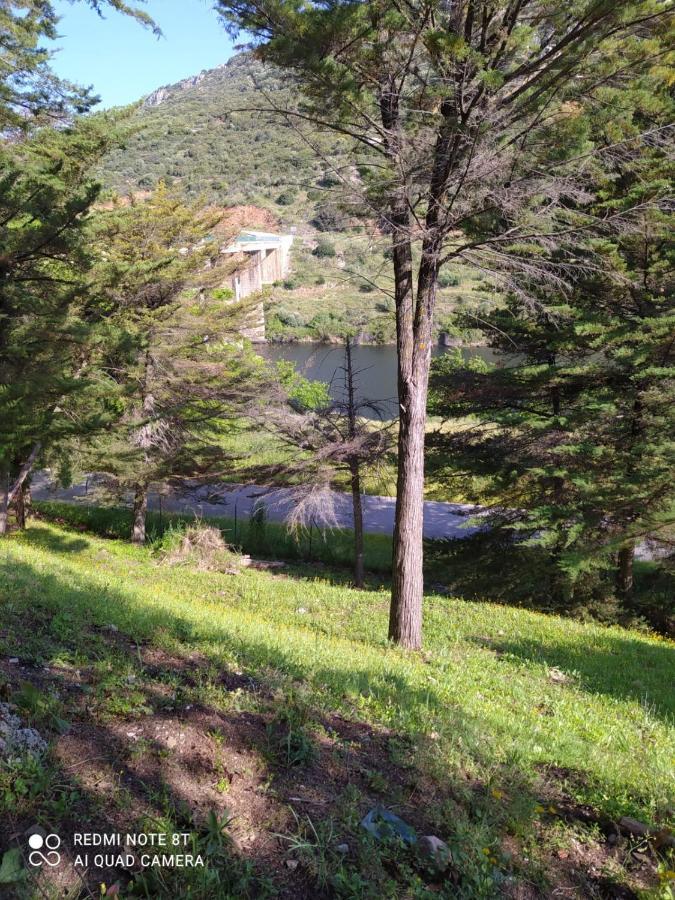 Casa En Plena Naturaleza. Valdecanas de Tajo Exterior photo